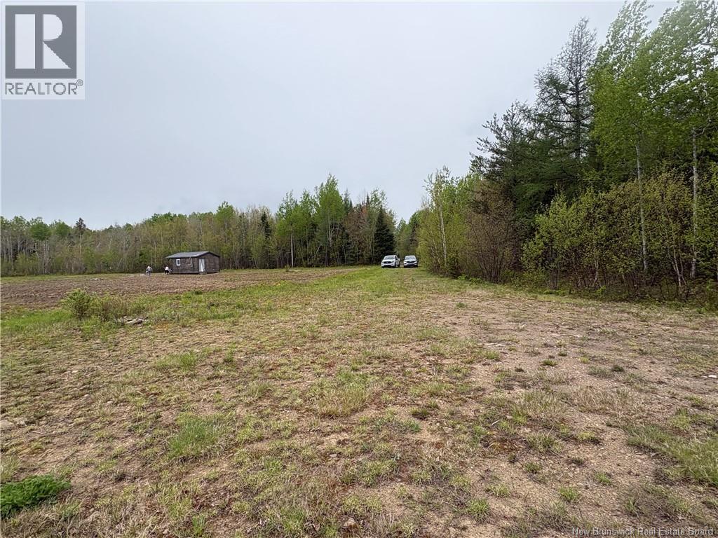 40.47 Hec Sapin Court, Rogersville, New Brunswick E4Y 1W5 - Photo 5 - NB140477