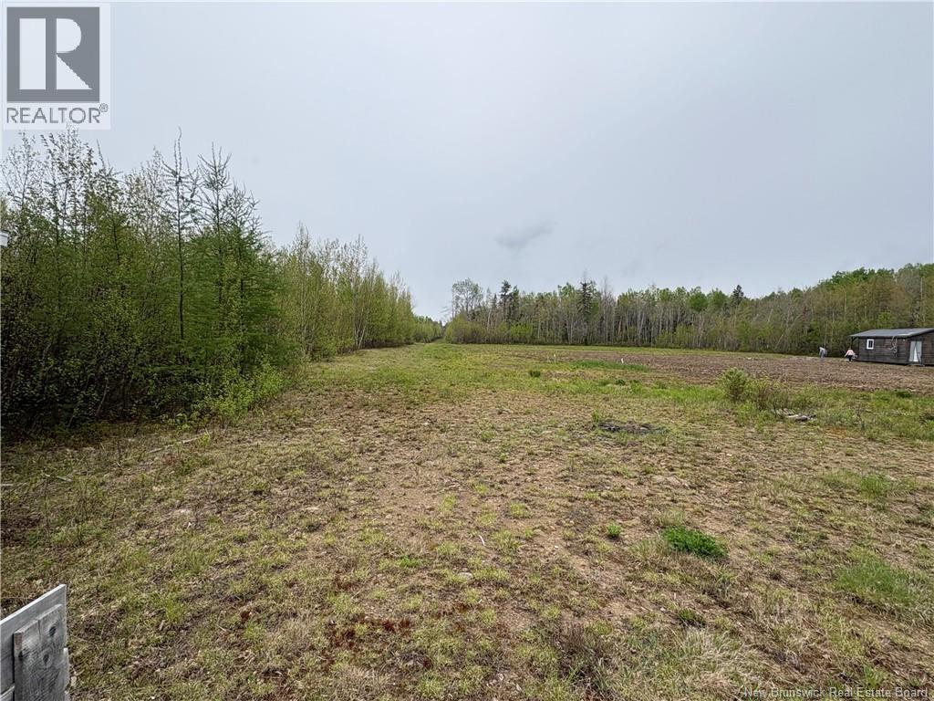 40.47 Hec Sapin Court, Rogersville, New Brunswick E4Y 1W5 - Photo 6 - NB140477