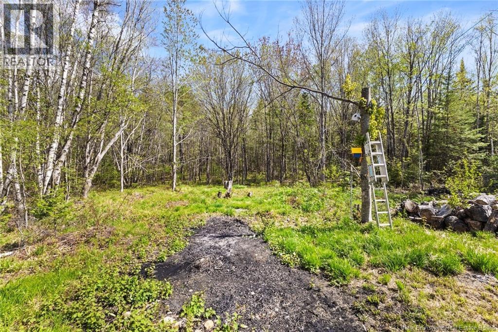 23 Oak Street, Minto, New Brunswick  E4B 3C4 - Photo 30 - NB140623