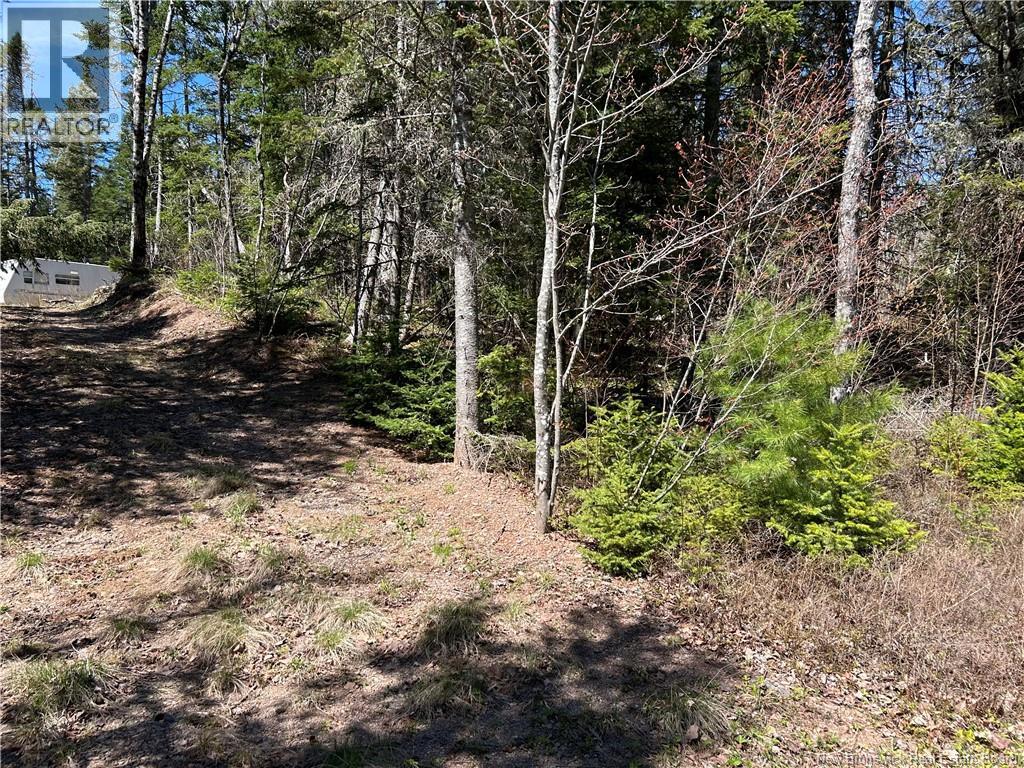 0 Route 880 Road, Head Of Millstream, New Brunswick  E4G 1A2 - Photo 10 - NB140411