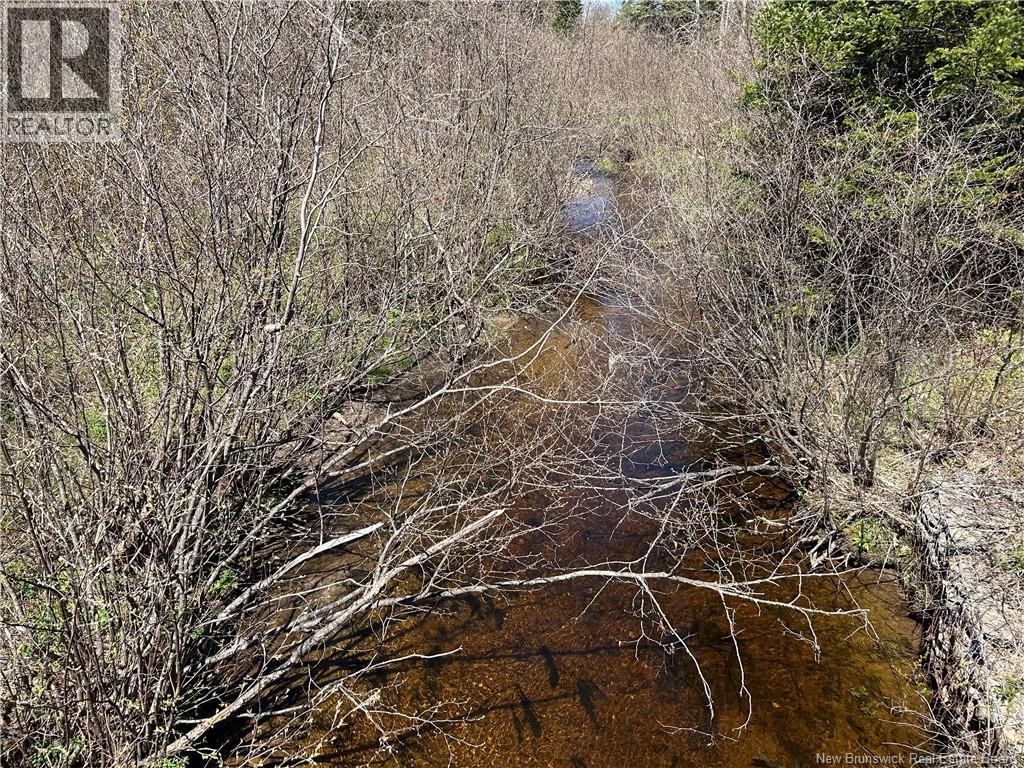 0 Route 880 Road, Head Of Millstream, New Brunswick  E4G 1A2 - Photo 11 - NB140411