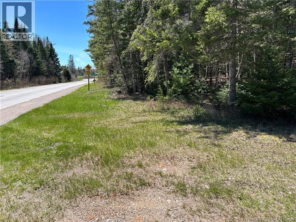 0 Route 880 Road, Head Of Millstream, New Brunswick  E4G 1A2 - Photo 13 - NB140411