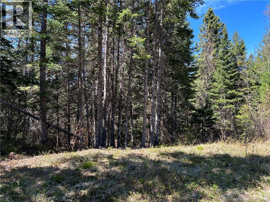 0 Route 880 Road, Head Of Millstream, New Brunswick  E4G 1A2 - Photo 14 - NB140411