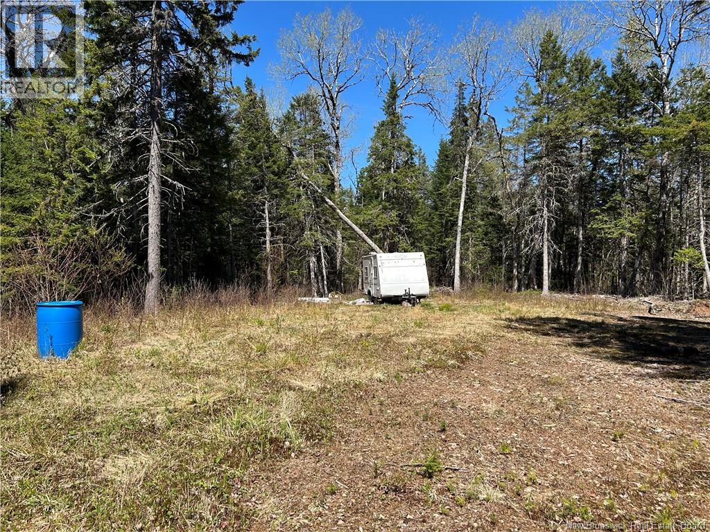 0 Route 880 Road, Head Of Millstream, New Brunswick  E4G 1A2 - Photo 15 - NB140411