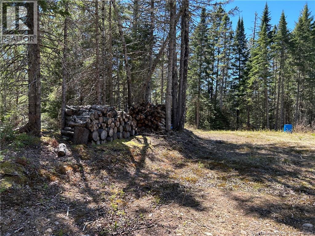 0 Route 880 Road, Head Of Millstream, New Brunswick  E4G 1A2 - Photo 16 - NB140411