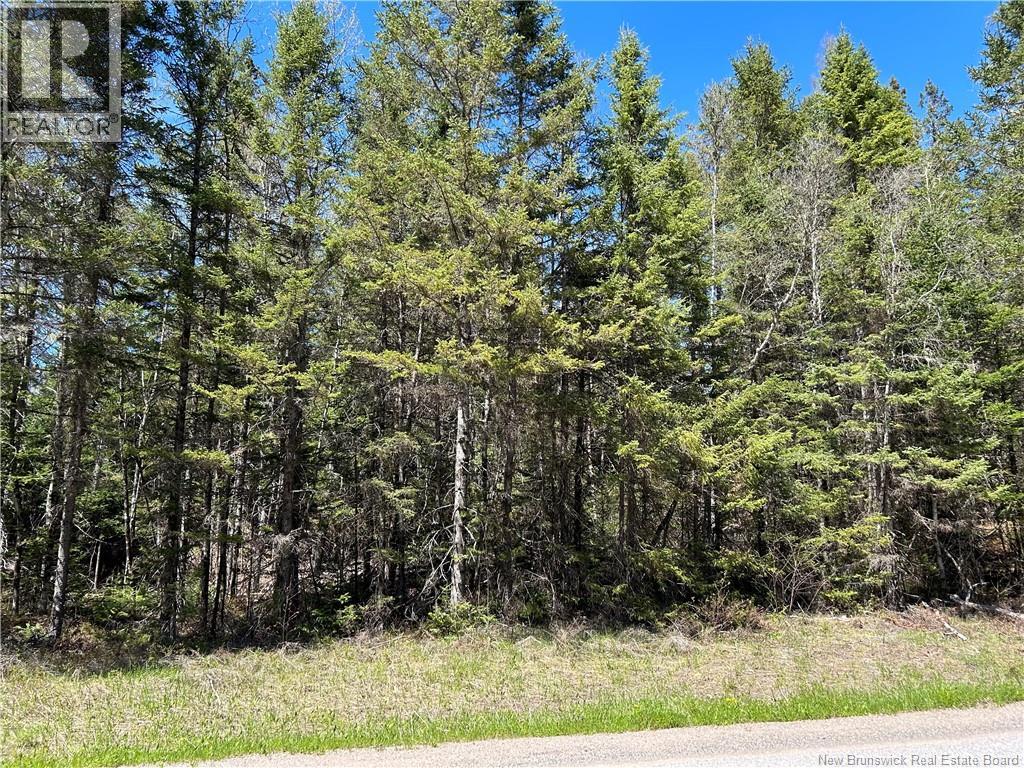 0 Route 880 Road, Head Of Millstream, New Brunswick  E4G 1A2 - Photo 3 - NB140411