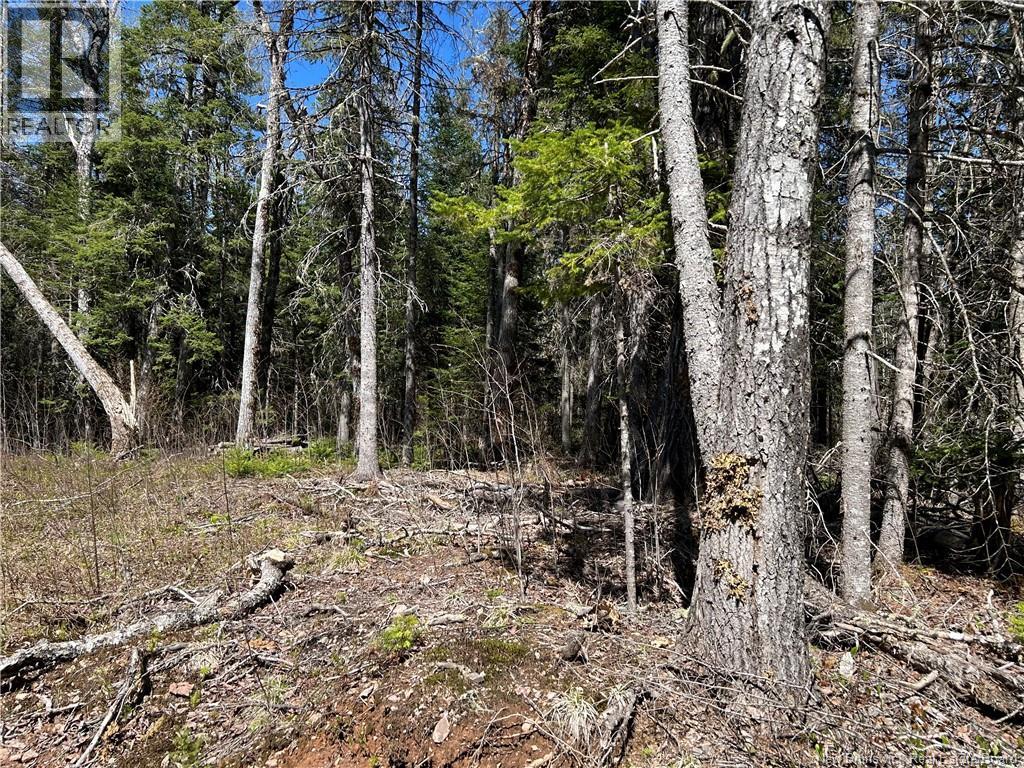 0 Route 880 Road, Head Of Millstream, New Brunswick  E4G 1A2 - Photo 5 - NB140411