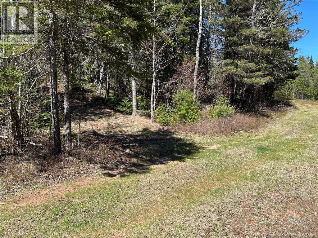 0 Route 880 Road, Head Of Millstream, New Brunswick  E4G 1A2 - Photo 6 - NB140411