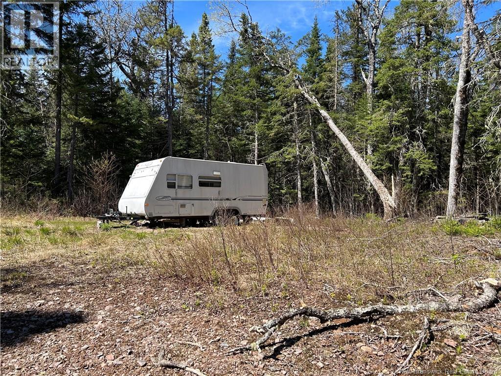 0 Route 880 Road, Head Of Millstream, New Brunswick  E4G 1A2 - Photo 7 - NB140411