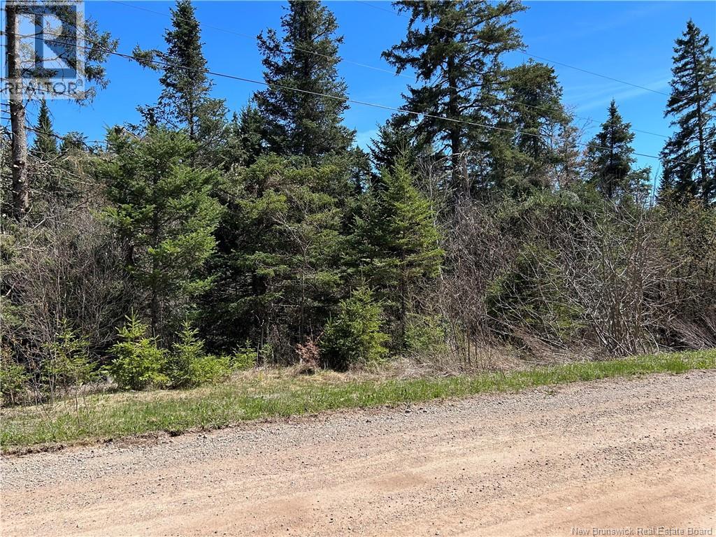 0 Route 880 Road, Head Of Millstream, New Brunswick  E4G 1A2 - Photo 8 - NB140411