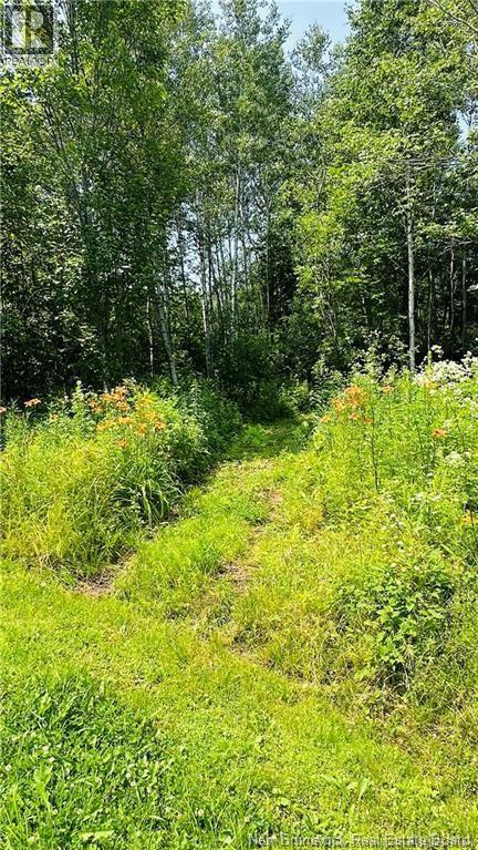 337 Foster Road, Mainstream, New Brunswick  E7P 1V6 - Photo 13 - NB140428