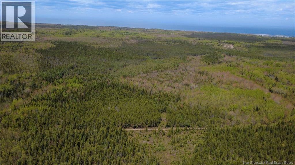 393 Route 320, Anse-Bleue, New Brunswick  E8N 2B9 - Photo 7 - NB140656