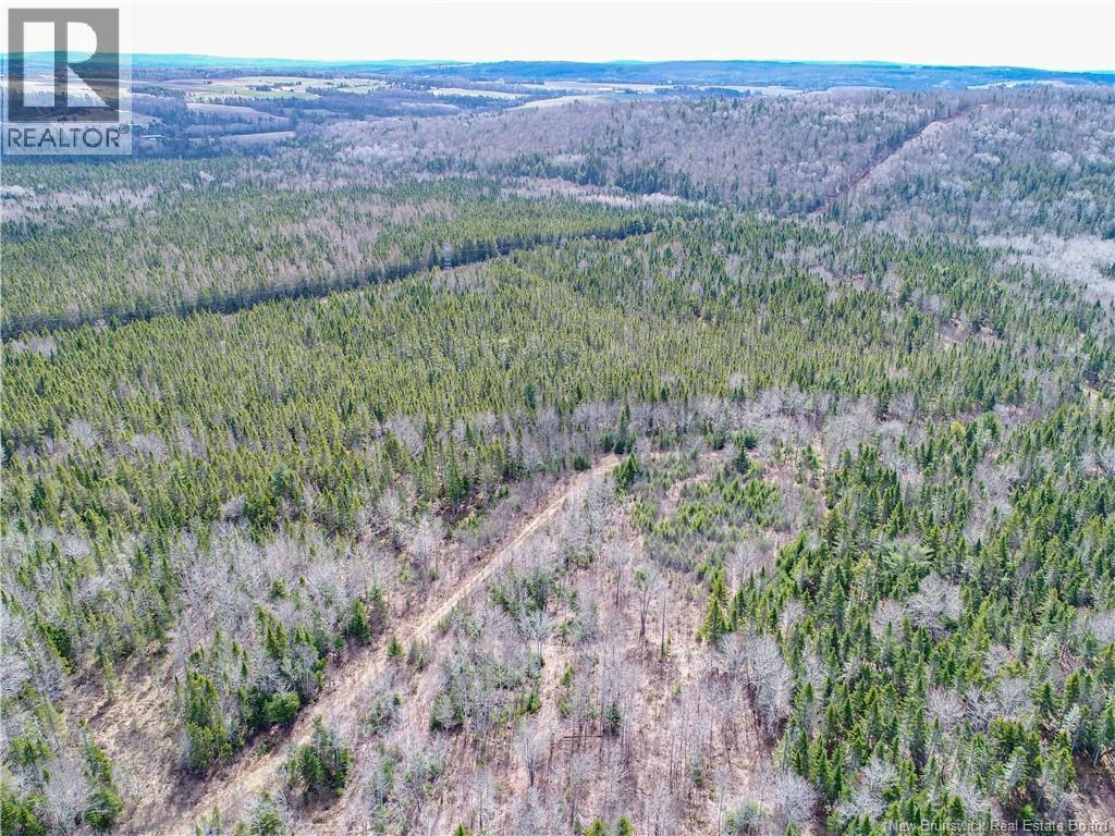1831 Route 870, Springfield, New Brunswick  E5T 2H9 - Photo 38 - NB140515