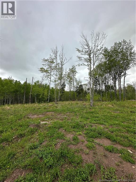 117 Alward Road, Havelock, New Brunswick  E4Z 5B3 - Photo 4 - NB140709