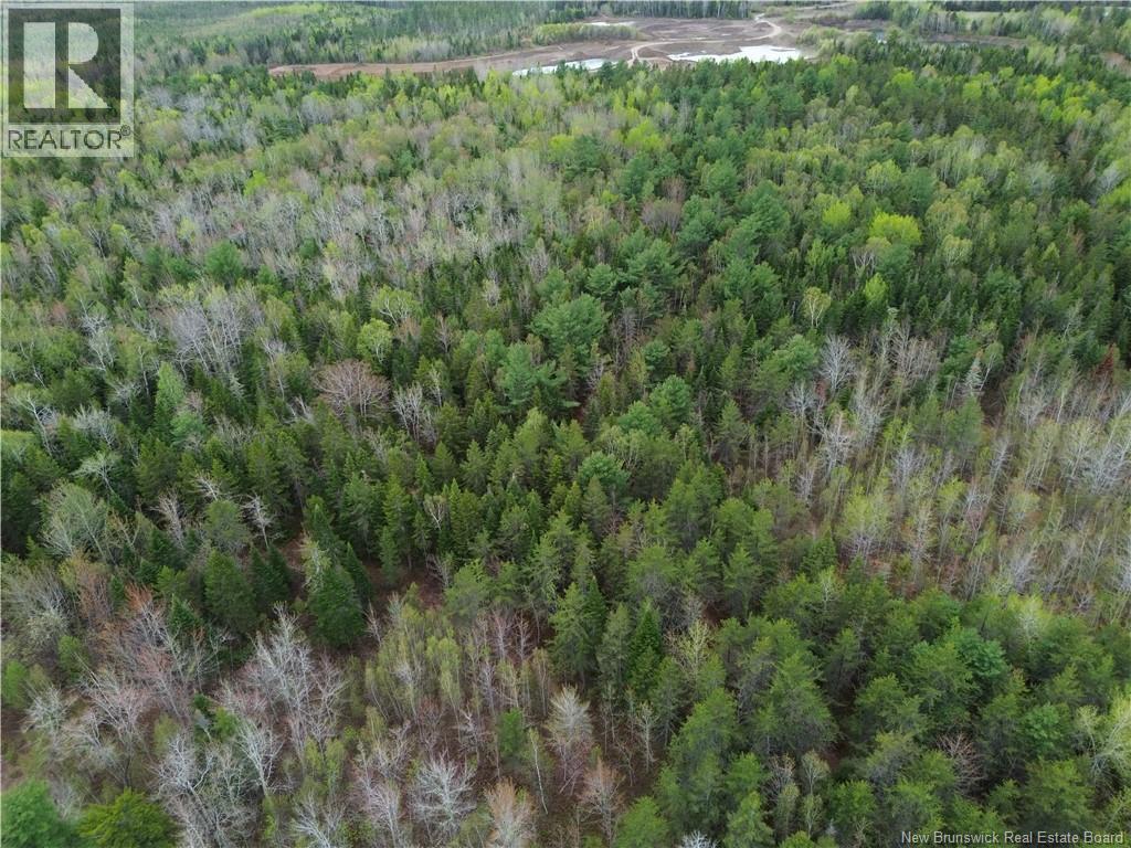 25-8 Route 134, Saint-Louis-De-Kent, New Brunswick  E4X 2L2 - Photo 16 - NB140646