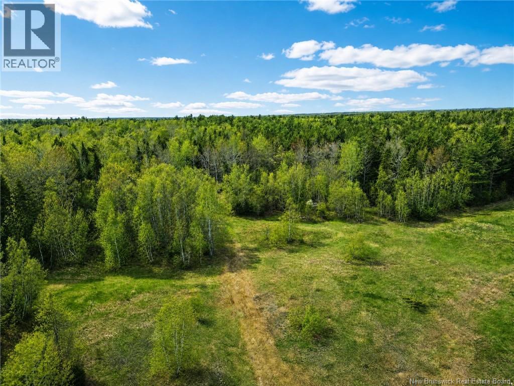 25-6 Route 134, Saint-Louis-De-Kent, New Brunswick  E4X 2L2 - Photo 15 - NB140644