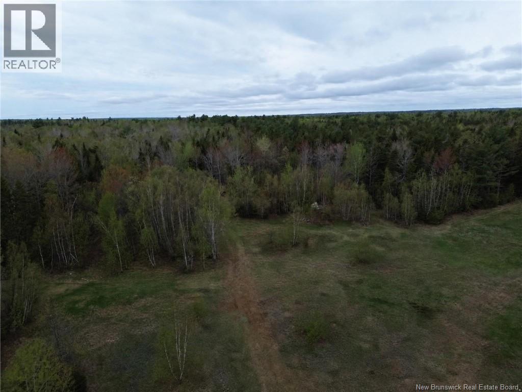 25-6 Route 134, Saint-Louis-De-Kent, New Brunswick  E4X 2L2 - Photo 16 - NB140644