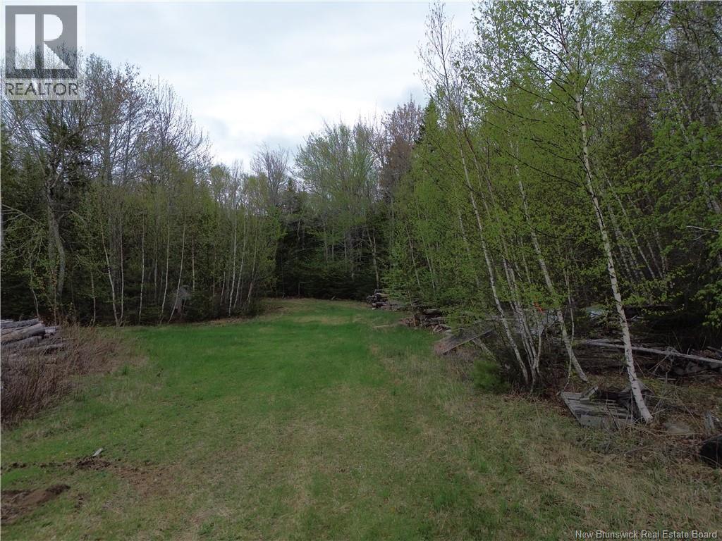 25-2 Route 134, Saint-Louis-De-Kent, New Brunswick  E4X 2L2 - Photo 18 - NB140643
