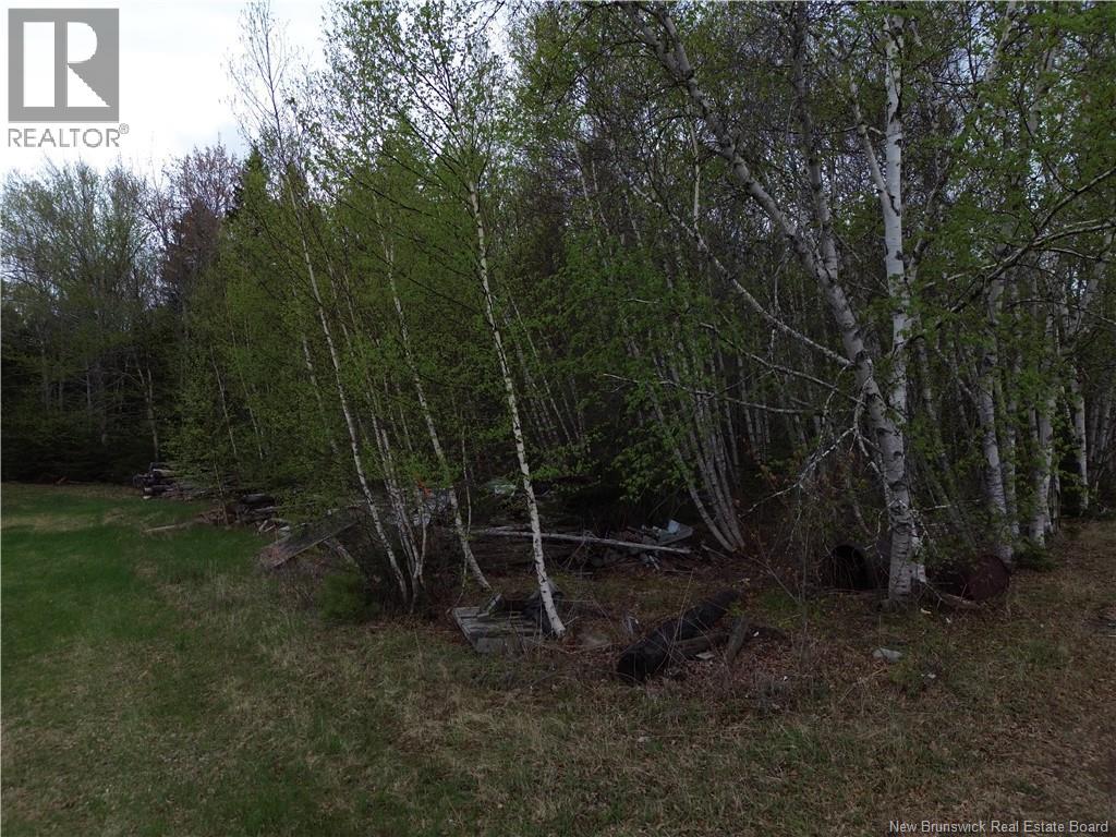 25-1 Route 134, Saint-Louis-De-Kent, New Brunswick  E4X 2L2 - Photo 12 - NB140640