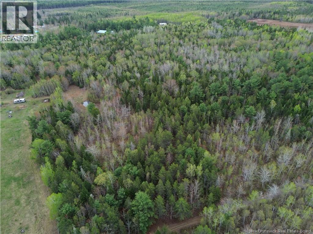 25-1 Route 134, Saint-Louis-De-Kent, New Brunswick  E4X 2L2 - Photo 19 - NB140640
