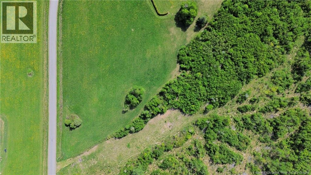 Lot 24-01 Mckenna Road, Newburg, New Brunswick E7N 1V5 - Photo 4 - NB140576