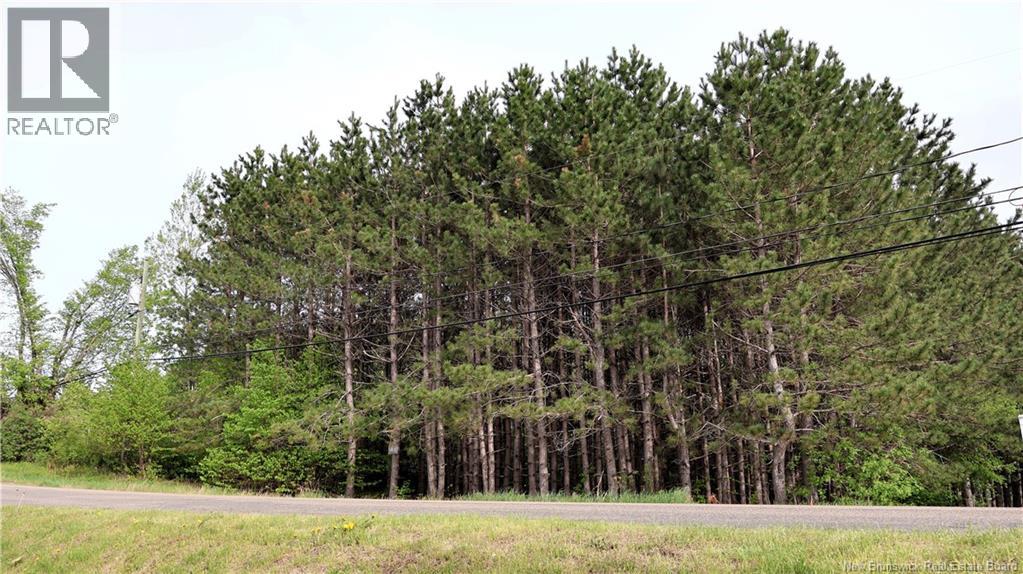 Vacant Lot 74-1a Cape Breton Rd Road, Irishtown, New Brunswick E4P 1V8 - Photo 1 - NB140272