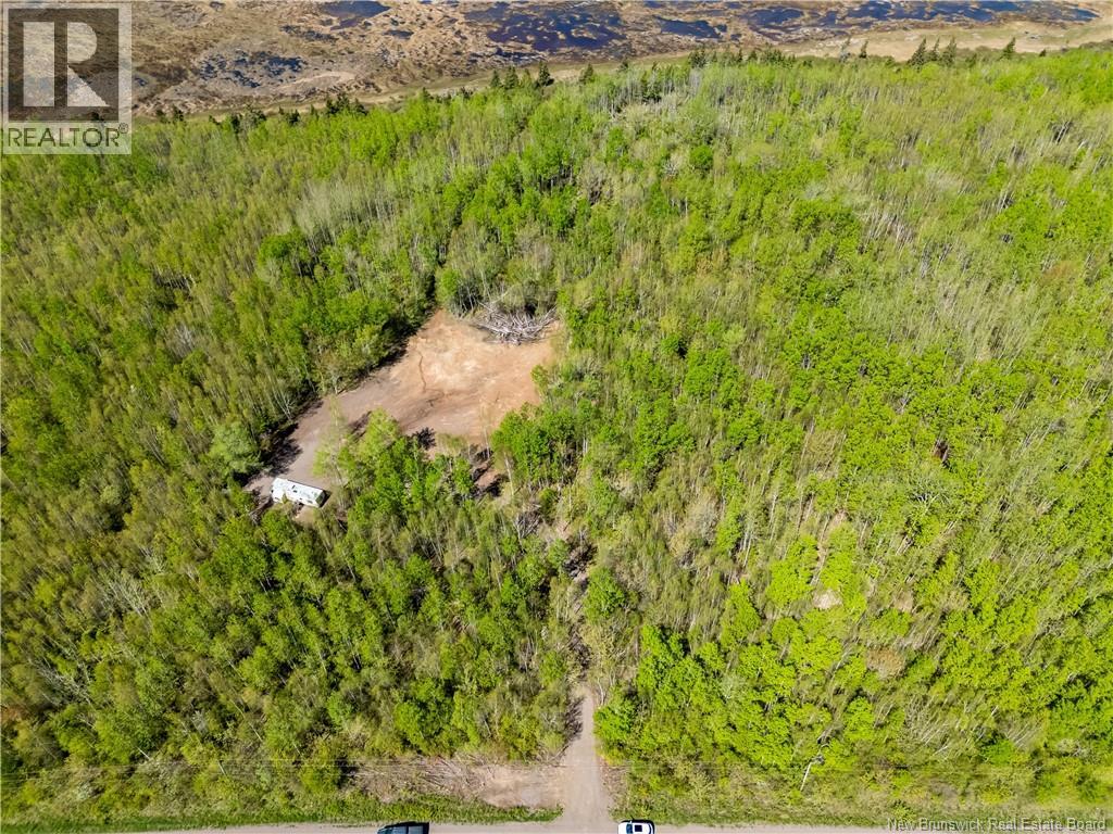 Lot Duguay Point Road, Shemogue, New Brunswick  E4M 3W6 - Photo 5 - NB140796