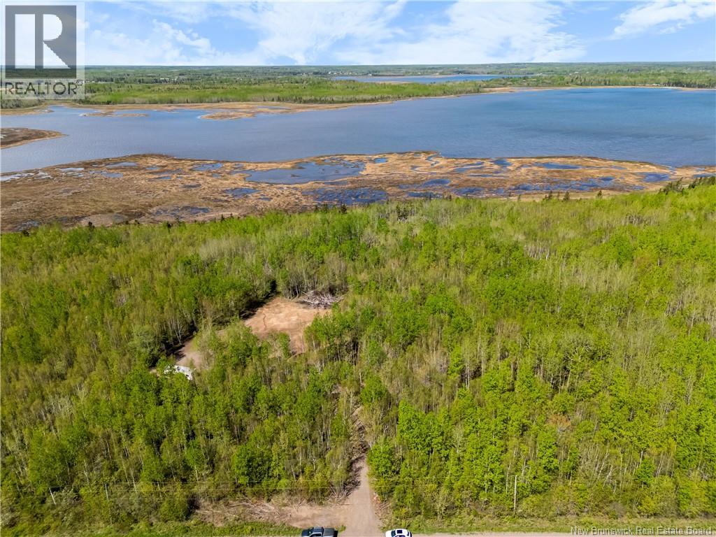 Lot Duguay Point Road, Shemogue, New Brunswick  E4M 3W6 - Photo 9 - NB140796