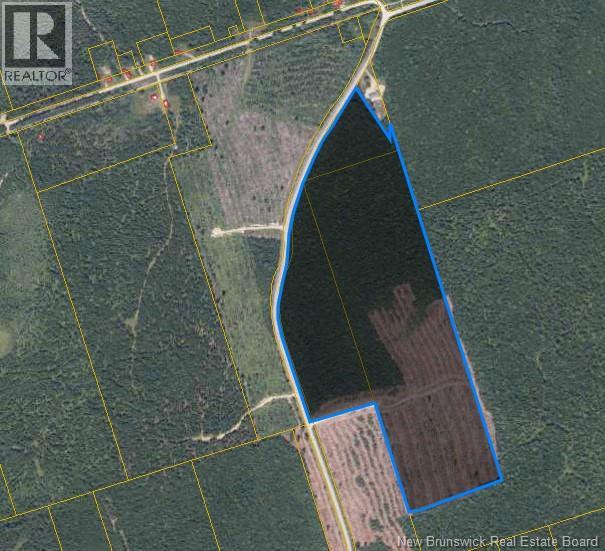Lot Weaver Siding Road, Upper Blackville, New Brunswick  E9C 1R1 - Photo 2 - NB140811