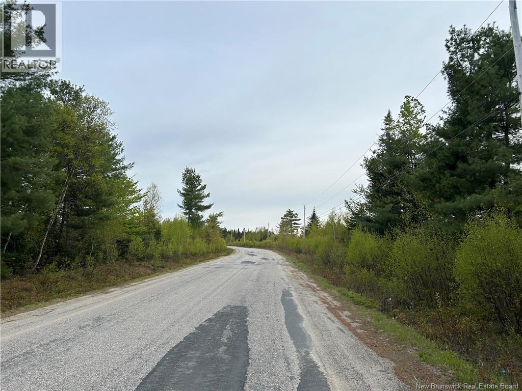 Lot Weaver Siding Road, Upper Blackville, New Brunswick  E9C 1R1 - Photo 4 - NB140811