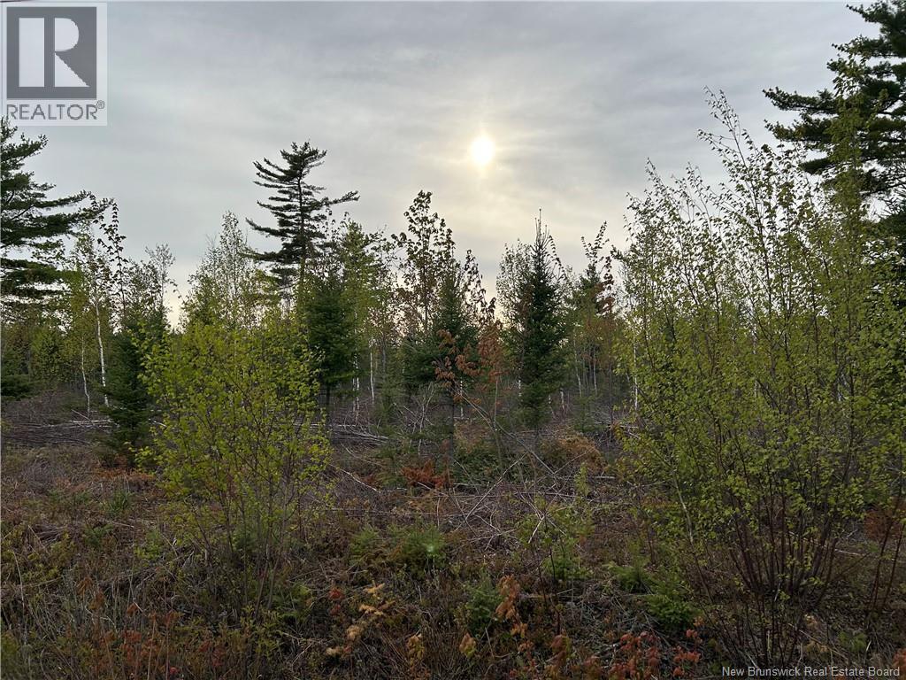 Lot Weaver Siding Road, Upper Blackville, New Brunswick  E9C 1R1 - Photo 5 - NB140811