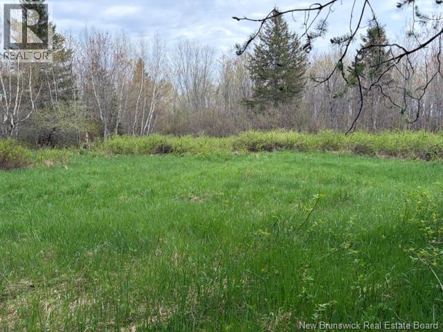 Woodlot Silvertown Road, Grangeville, New Brunswick  E4T 2C8 - Photo 2 - NB140874