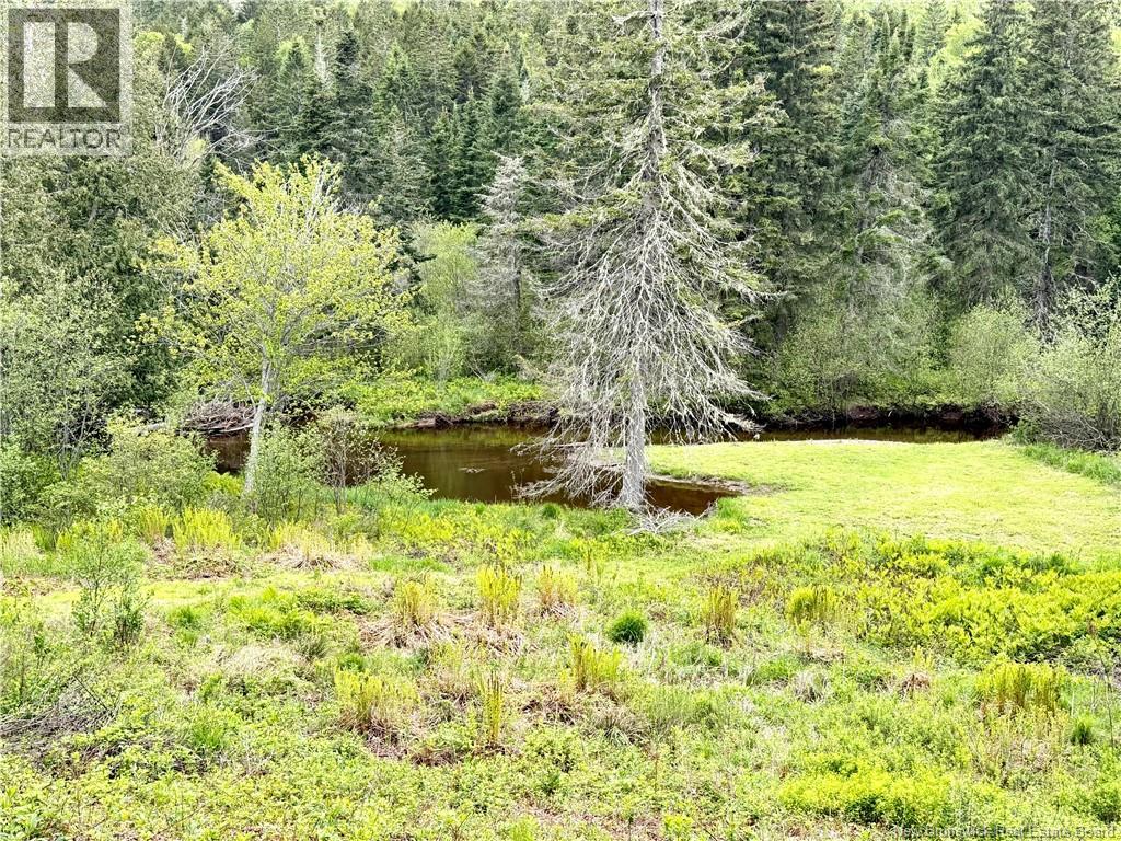 49 Route 845, Lower Norton, New Brunswick  E5N 7T3 - Photo 42 - NB140718