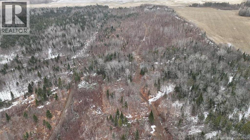 89 Lebel Road, Anfield, New Brunswick  E7G 2A6 - Photo 17 - NB140918