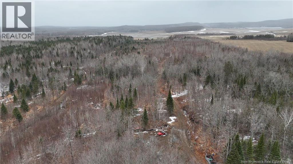 89 Lebel Road, Anfield, New Brunswick  E7G 2A6 - Photo 19 - NB140918