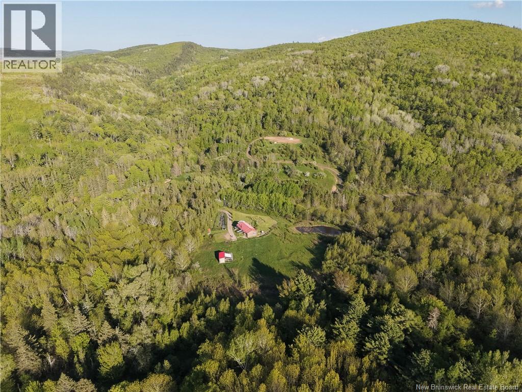 236 Mill Brook Road, Mill Brook, New Brunswick  E4E 3V8 - Photo 35 - NB140879