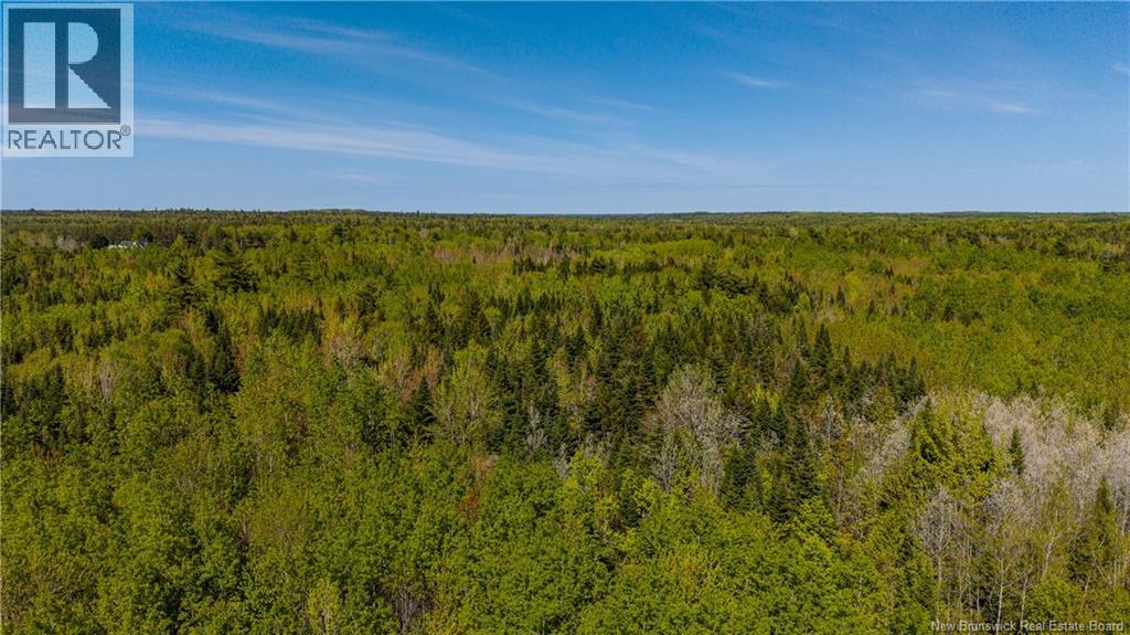 Lot 20-2 Route 525, Saint-Antoine, New Brunswick  E4V 3A1 - Photo 10 - NB140873
