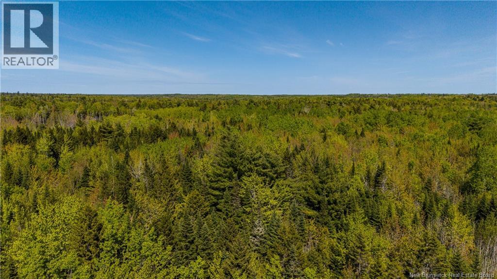 Lot 20-2 Route 525, Saint-Antoine, New Brunswick  E4V 3A1 - Photo 11 - NB140873
