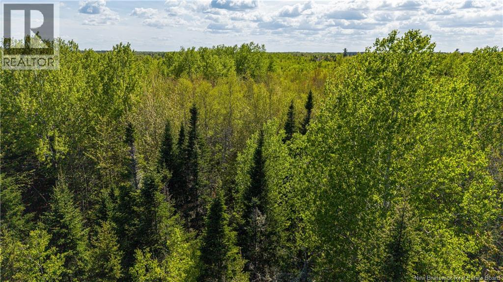 Lot 20-2 Route 525, Saint-Antoine, New Brunswick  E4V 3A1 - Photo 16 - NB140873