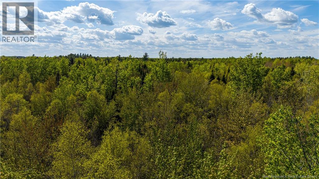 Lot 20-2 Route 525, Saint-Antoine, New Brunswick  E4V 3A1 - Photo 17 - NB140873