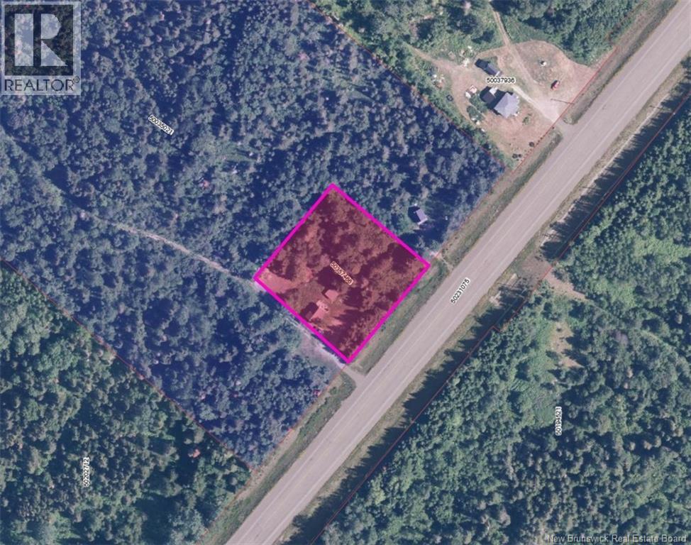 11498 Route 17, Adams Gulch, New Brunswick  E8B 1Y8 - Photo 19 - NB140994