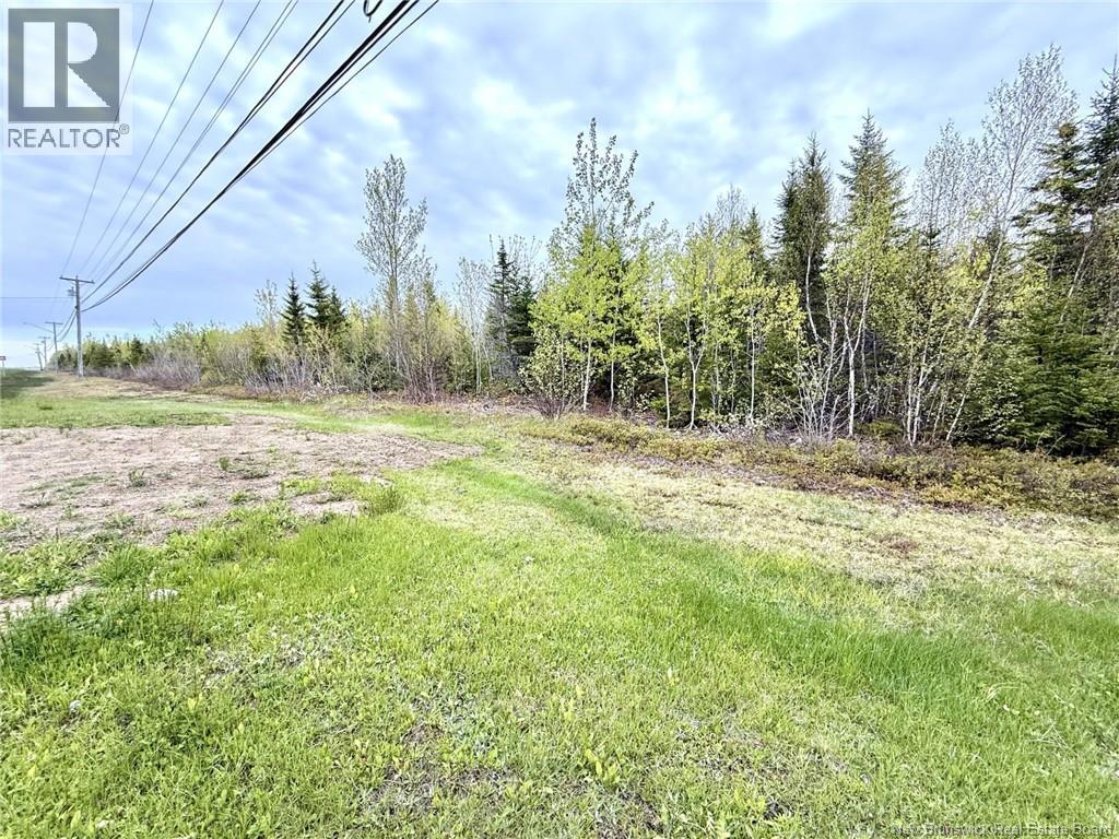 10.7 Acres Rue Du Portage, Caraquet, New Brunswick  E1W 1A8 - Photo 4 - NB140896
