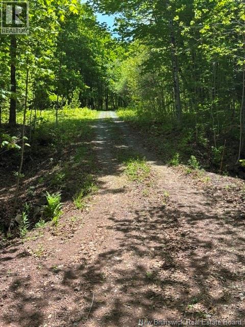 350 Bloomfield Ridge Road, Bloomfield Ridge, New Brunswick  E6A 1S5 - Photo 26 - NB141010