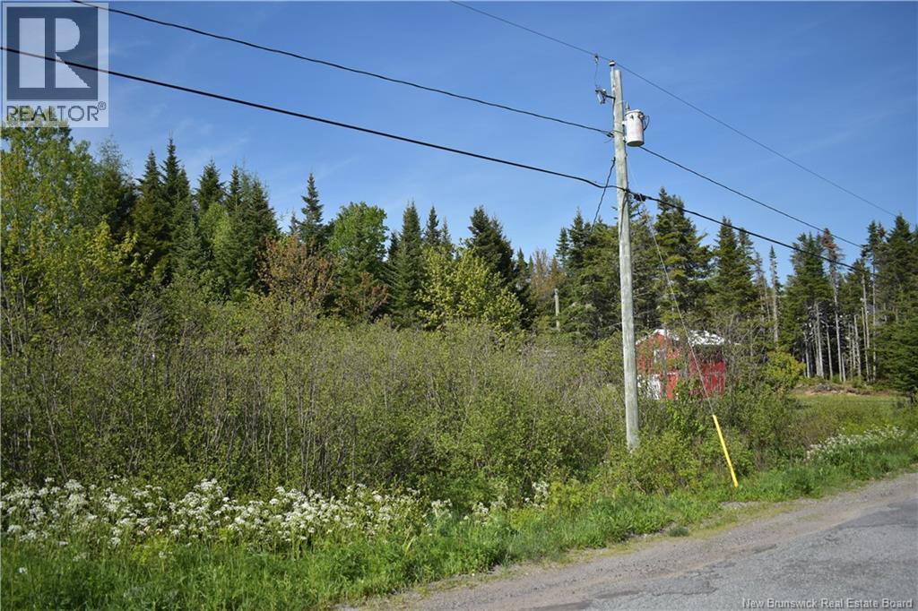 25 Upper Quaco Road, Baxters Corner, New Brunswick  E2S 2S2 - Photo 40 - NB141044