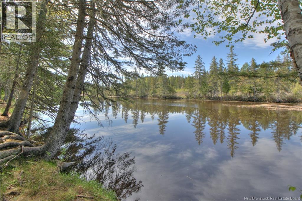 Lot Route 470, West Branch, New Brunswick  E4W 3G3 - Photo 4 - NB141082