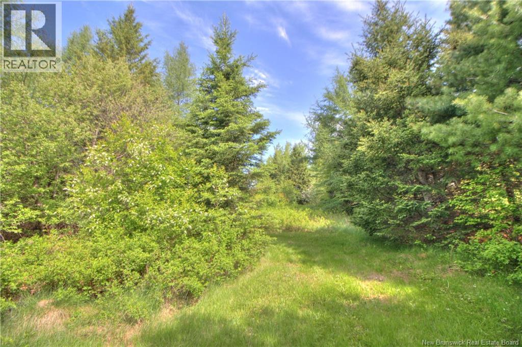 Lot Route 470, West Branch, New Brunswick  E4W 3G3 - Photo 7 - NB141082