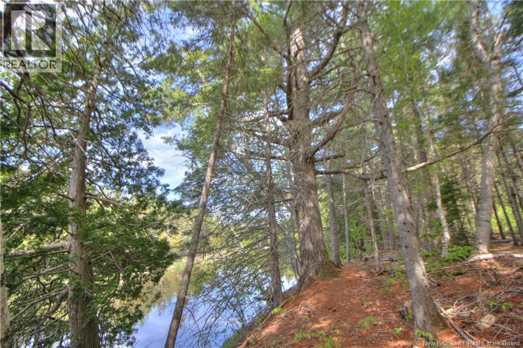Lot Route 470, West Branch, New Brunswick  E4W 3G3 - Photo 9 - NB141082