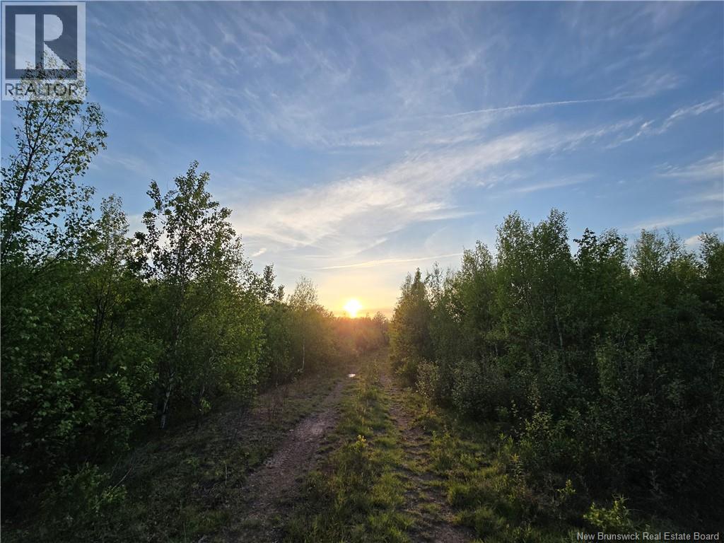 Lot 2 Dingley Road, Head Of Millstream, New Brunswick