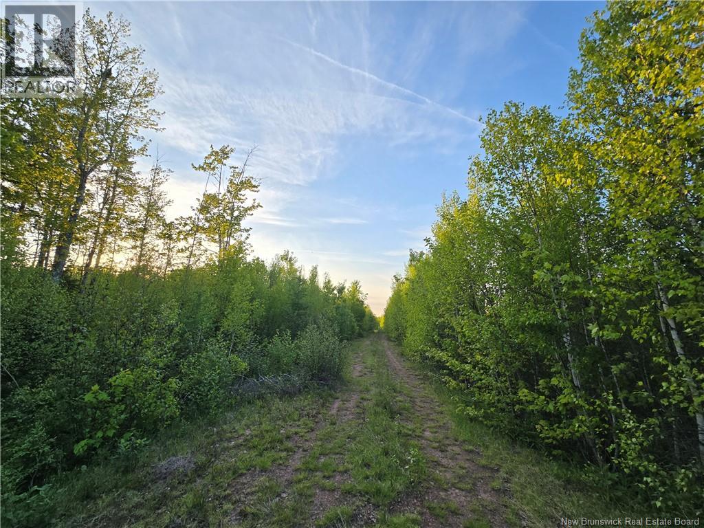 Lot 2 Dingley Road, Head Of Millstream, New Brunswick  E4Z 1W1 - Photo 5 - NB140535
