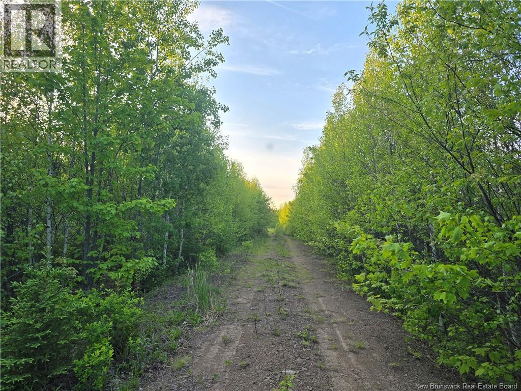 Lot 2 Dingley Road, Head Of Millstream, New Brunswick  E4Z 1W1 - Photo 6 - NB140535